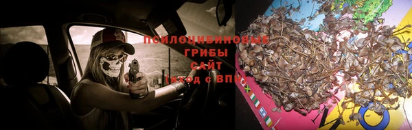 амф Дмитриев