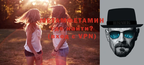 индика Дмитров