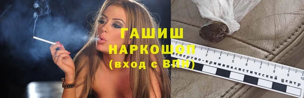 индика Дмитров