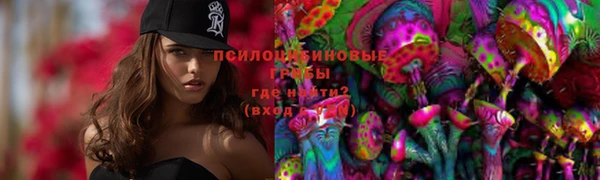 соль курить ск Дмитровск