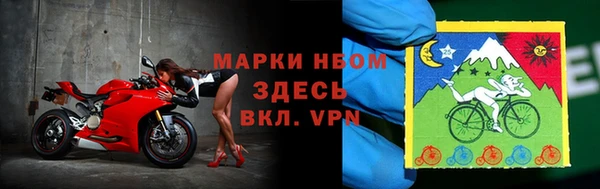 амф Дмитриев