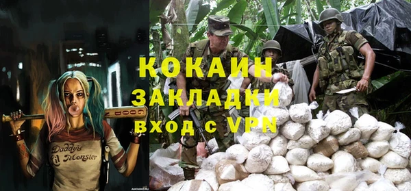 индика Дмитров