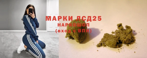 индика Дмитров