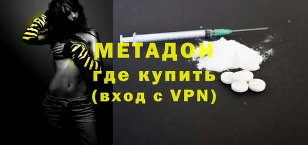 индика Дмитров
