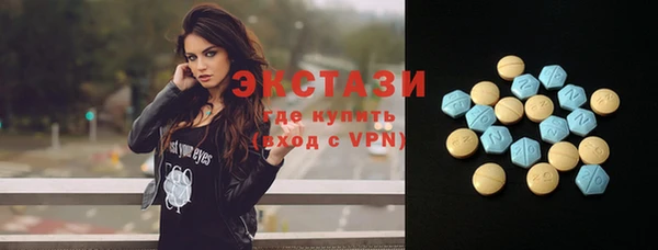 индика Дмитров