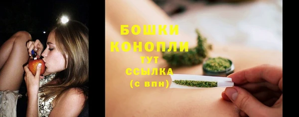 амф Дмитриев
