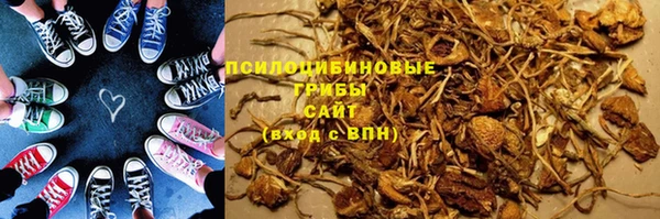 индика Дмитров