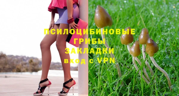 соль курить ск Дмитровск