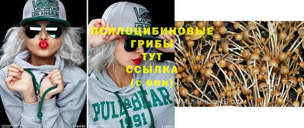 амф Дмитриев