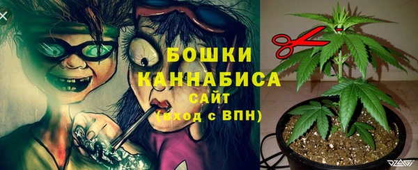 амф Дмитриев