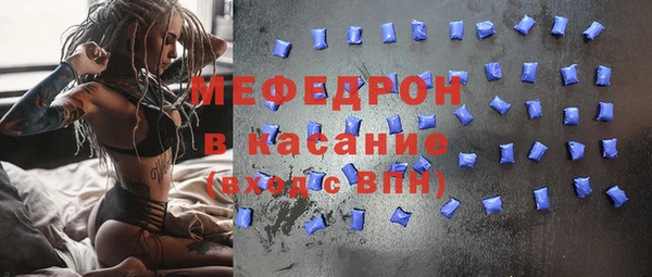 индика Дмитров
