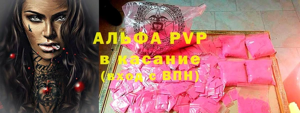индика Дмитров
