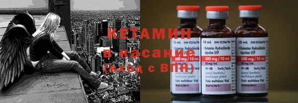 индика Дмитров