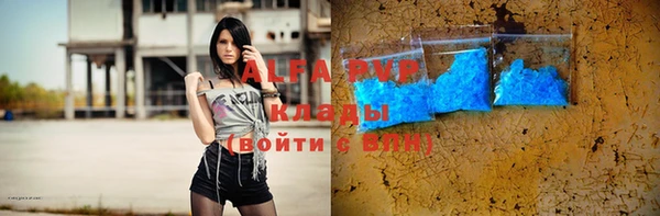 индика Дмитров