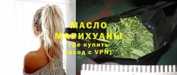 индика Дмитров