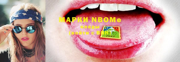 индика Дмитров