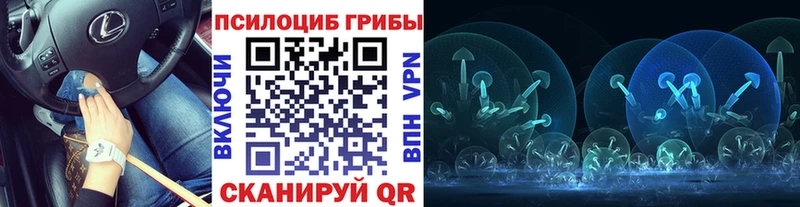 Галлюциногенные грибы мицелий  ссылка на мегу как зайти  Ногинск 